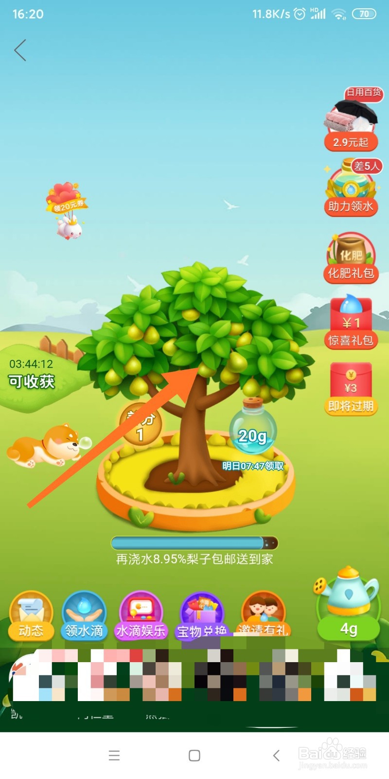 拼多多中如何获得免费水果