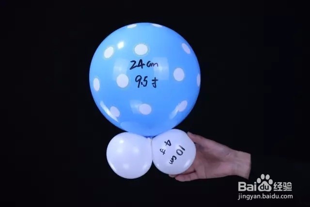 魔术长条气球教程(第20期)——章鱼