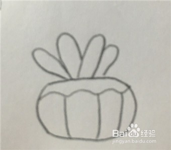 怎么画一个南瓜形的盆栽简笔画