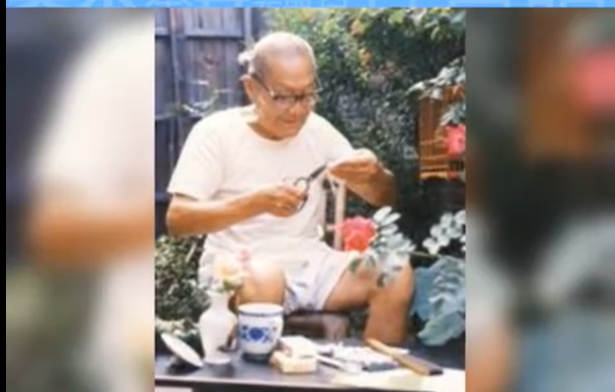 《百花齐放》作者是谁呢