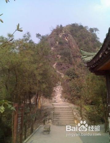 春季重庆踏春好去处
