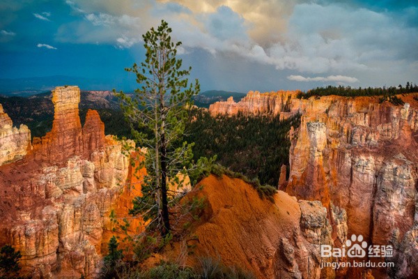 黄石公园在美国的哪个州