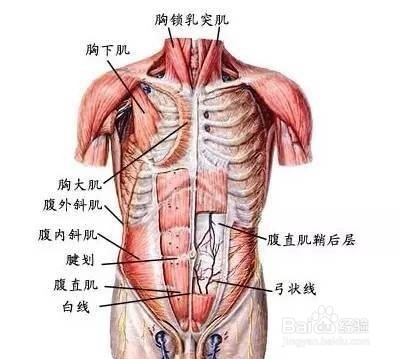 大龙旗怎么练