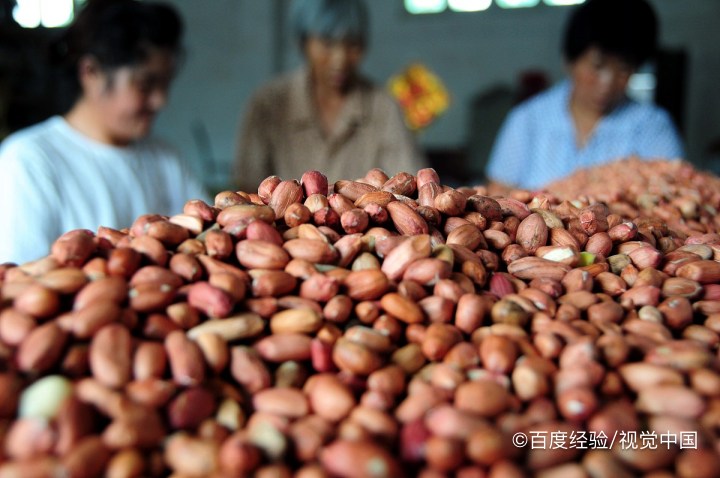 花生米怎么保存比较好