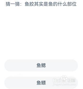 鱼胶其实是鱼的什么部位？蚂蚁庄园9.26答案