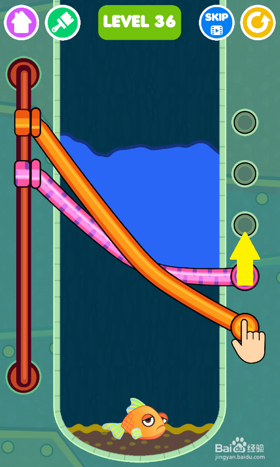 Save The Fish的LEVEL 36如何通关