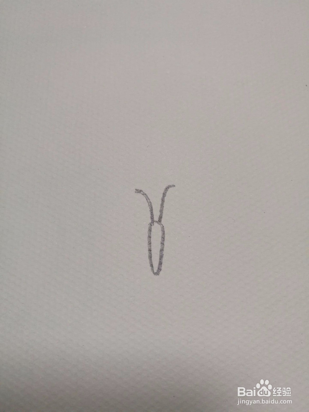 简笔画彩色的蝴蝶怎么画