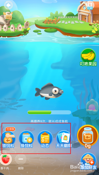 叮咚买菜如何领鱼