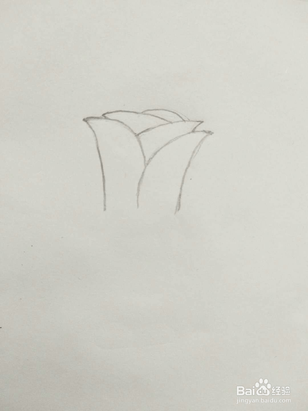 简笔画玫瑰花怎么画呢