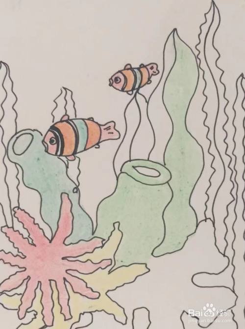 湖绿色,绿色,红色,黄色,橘色,粉色彩铅画笔为珊瑚礁和海草上色.