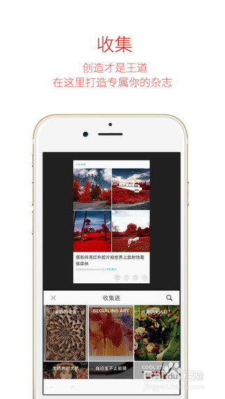 我的“阅读伙伴”