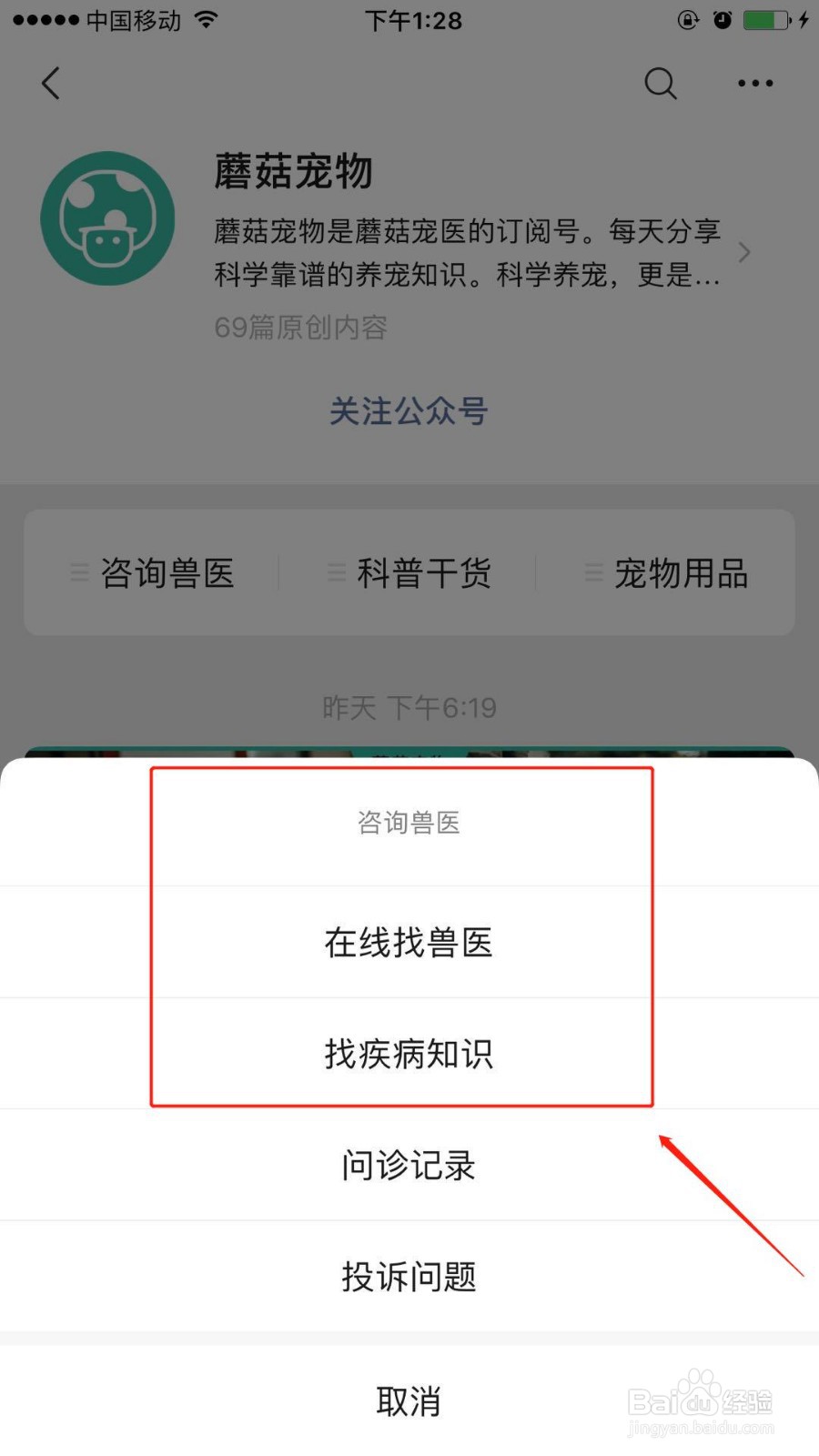 猫鼻子发出鼻塞的声音怎么办