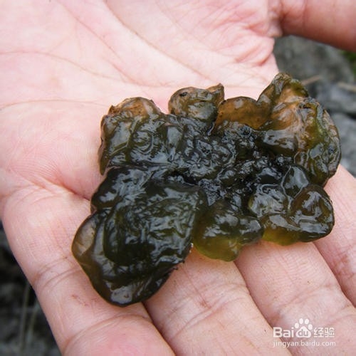 地角皮烧汤怎么烧