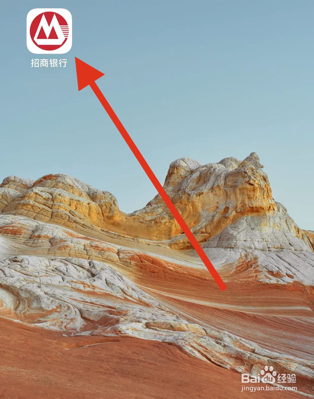 招商银行如何查看借钱?