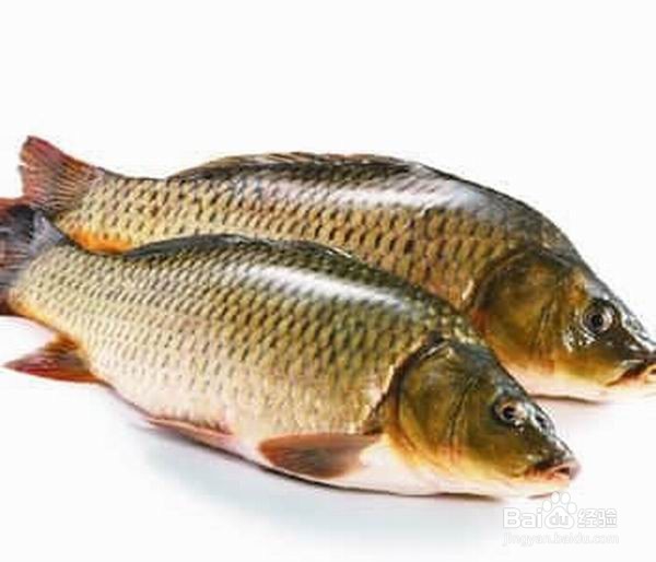 一些常吃的食物怎样才能清洗干净
