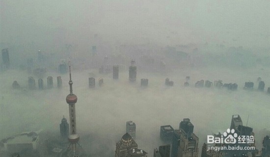 如何快速从零进阶,玩转手机摄影