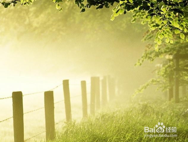 如何防止青少年患上近视？养成不良的行为习惯!