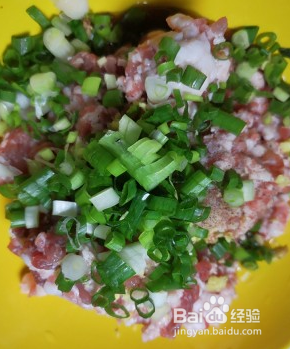 美味猪肉馅饼