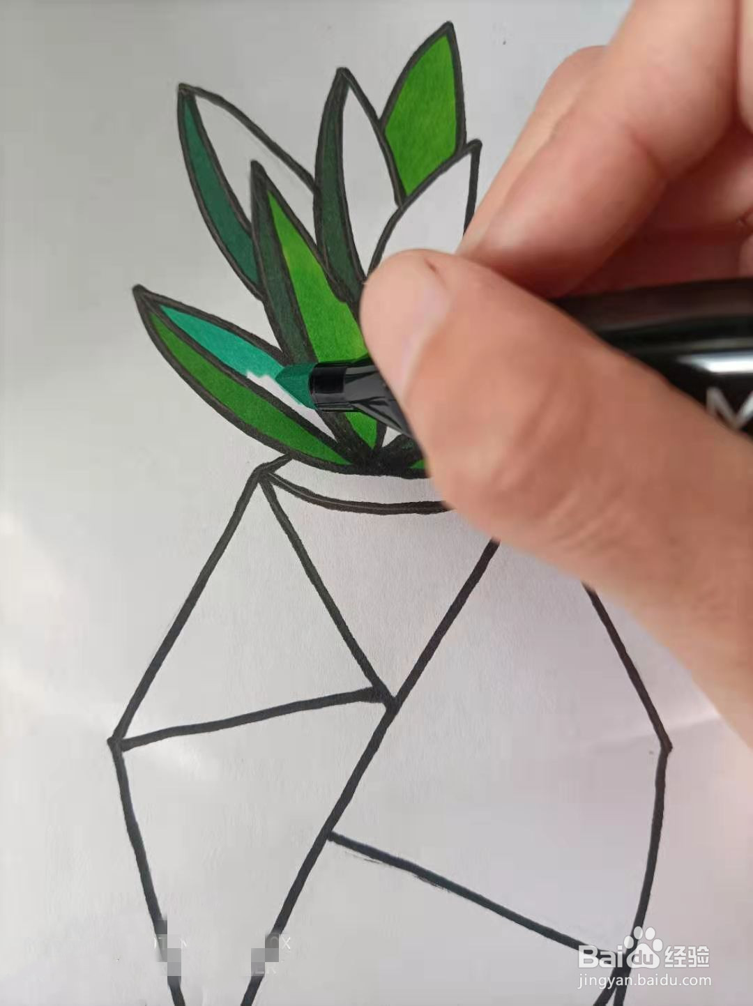 盆栽的简笔画怎么画?