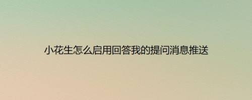 小花生怎么启用回答我的提问消息推送