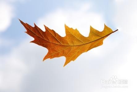 那些意味深长的句子