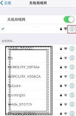 iPhone如何设置DNS？iphone dns？