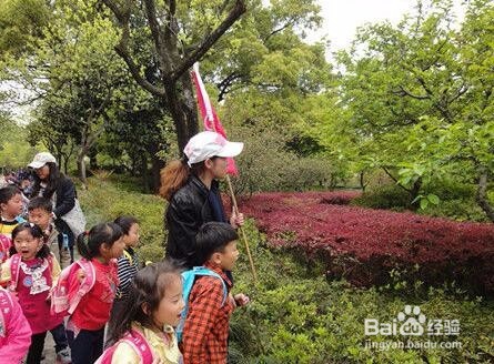 春季踏青赏花出游要注意什么？