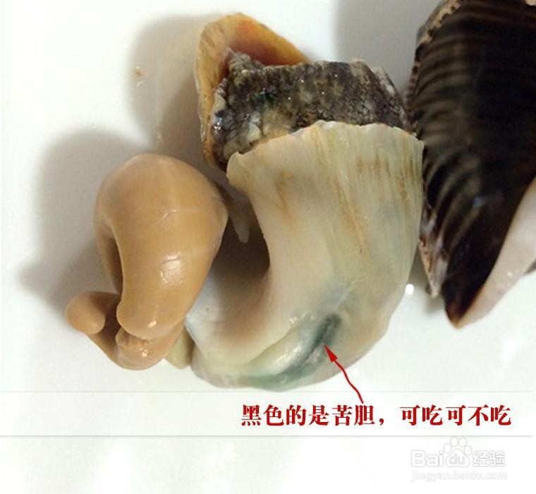 海螺不能吃部位详解图图片