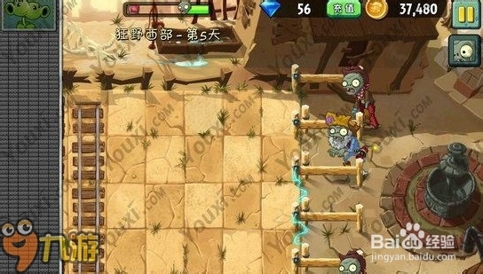 【图文】安卓版《植物大战僵尸2》海盗湾第五关