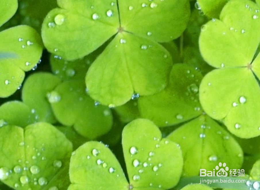 怎么用windows 10截图