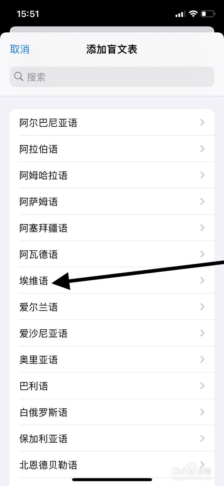 iPhone旁白“埃维语”盲文表怎样添加