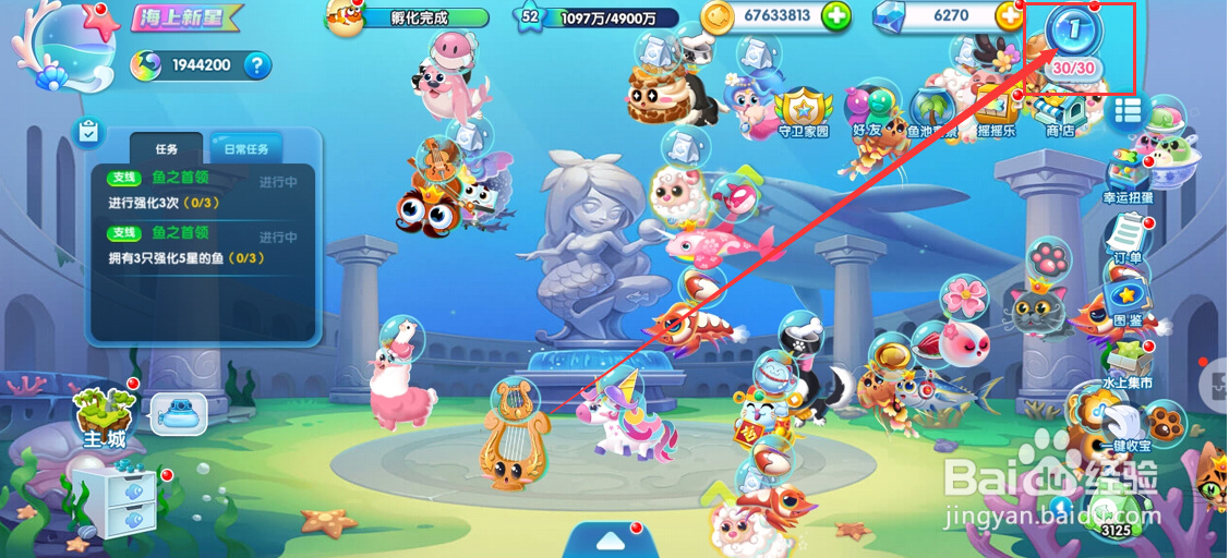 萌鱼泡泡手游如何将成年期蛋黄黄升阶到皇冠期