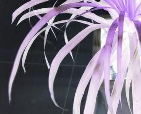 护理服务制度59