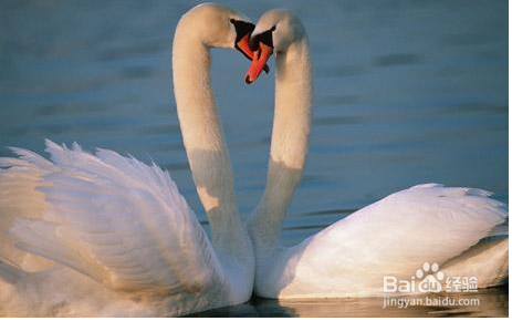 《爱情回来了》热播，感同身受的我们该何去何从