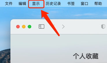 如何开启Safari浏览器主页按钮