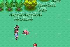 口袋妖怪圣灰攻略图片5