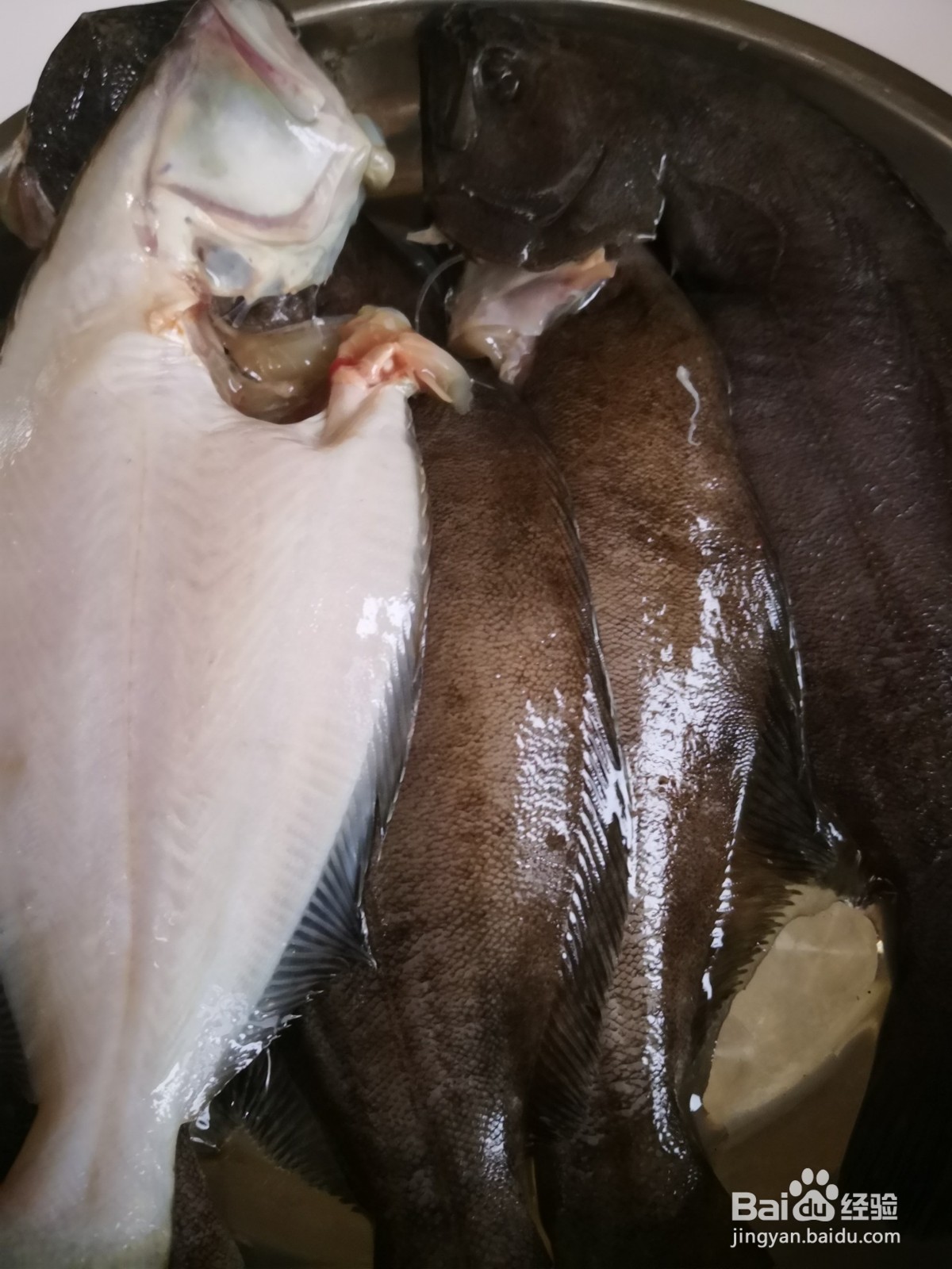 家常红烧比目鱼