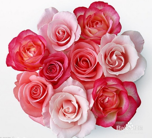 国庆送礼全攻略