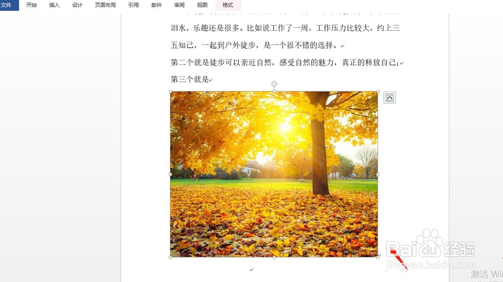 如何给word文档插入图片