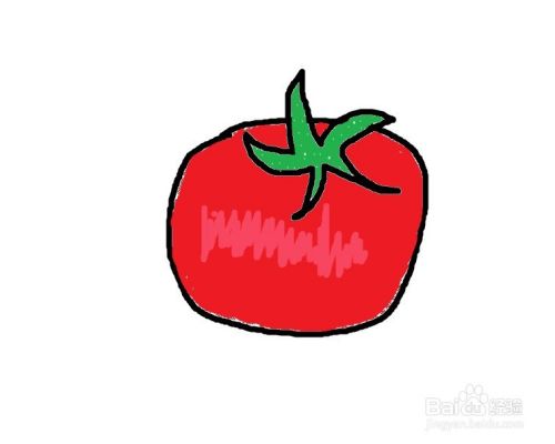 如何画一个卡通番茄插图