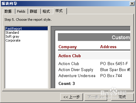 fastreport中文版初级教程之报表向导