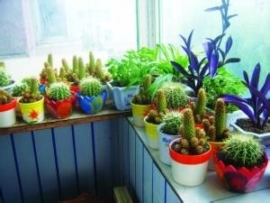 夏季防暑宝典——居住篇