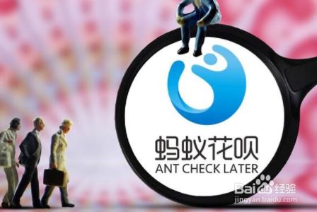 怎么查看支付宝花呗账单详情