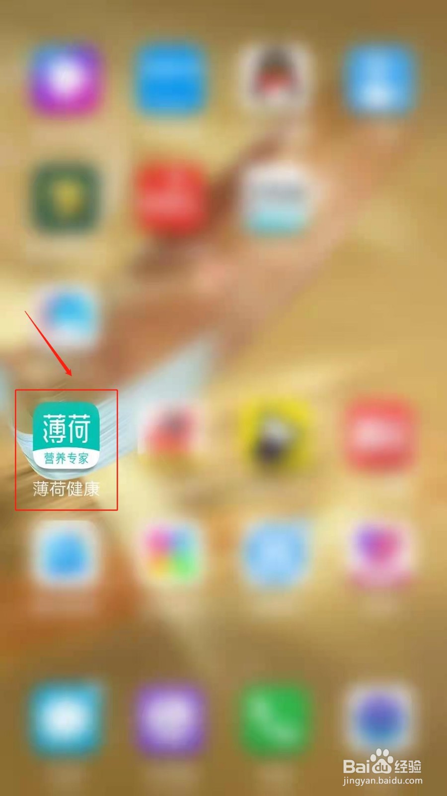 薄荷健康APP怎么切换体重单位为斤