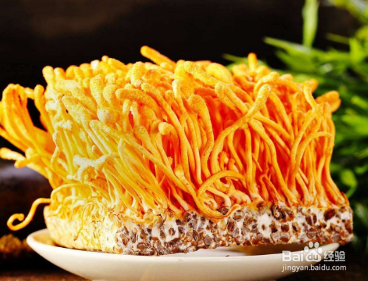 虫草茶怎么喝提高人体免疫力?