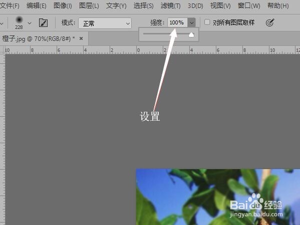 Photoshop CC使用模糊工具突出主体效果