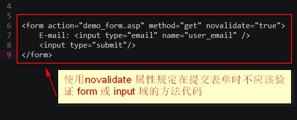 使用什么验证input域的模式