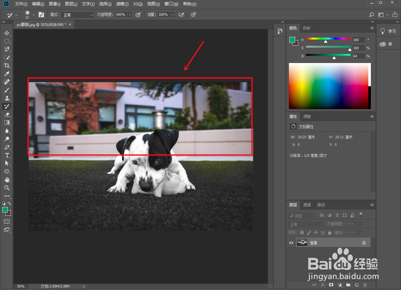 ps怎么给局部涂色