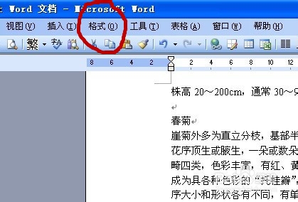 怎么给Word页面上添加一个漂亮的边框