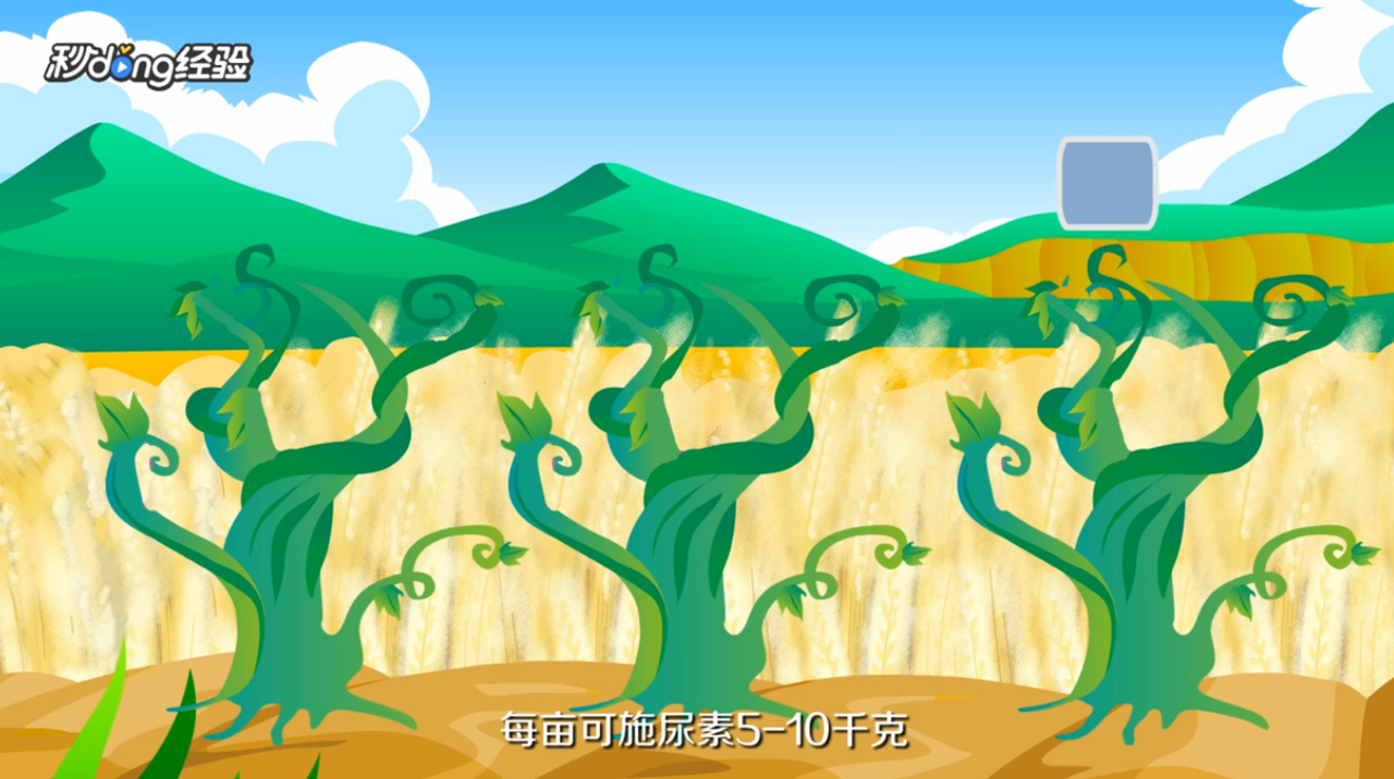 葡萄用什么肥料好